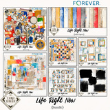 Life Right Now Bundle