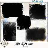 Life Right Now Bundle