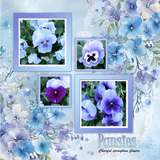 Cluster Border Background Papers Set 14