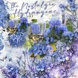 Cluster Border Background Papers Set 14