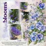 Cluster Border Background Papers Set 14