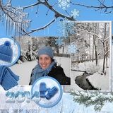 Natural Disaster Blizzard Bundle