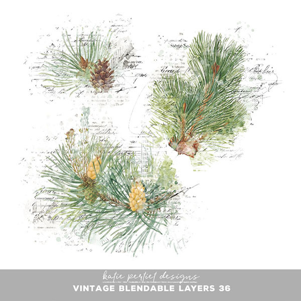 Vintage Blendable Layers 36 Digital Art - Digital Scrapbooking Kits
