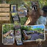 Seatrout Scraps Designer Days Exclusive Bundle 03 - September 2026