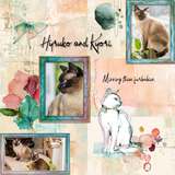 A Fluid State of Mind 9 Add On Bundle