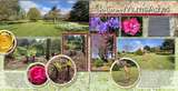 Prestige Papers 04