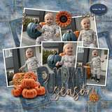 Designs by Mandy King Designer Days Exclusive Bundle 01 - September 2026