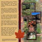 Designs by Mandy King Designer Days Exclusive Bundle 03 - September 2026