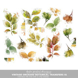 Vintage Orchard Scrapbook Bundle 02