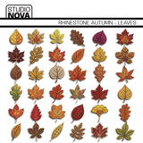 Studio Nova Designer Days Exclusive Bundle 02 - September 2026
