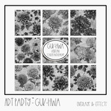 Guk-Hwa - Overlays & Effects