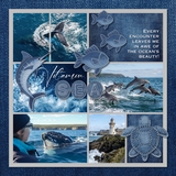 Ocean Animal Denim Patches 2