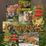 Southeast Asia Patches Layered Templates