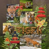 Southeast Asia Patches