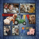 State Fair Patches Layered Templates