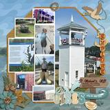 Everyday Enhanced Split Shape Photo Clusters