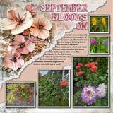 Clustered Border Backgrounds Set15