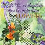 Artful Impressions Splats and Masks