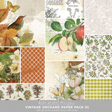 Vintage Orchard Paper Pack 01