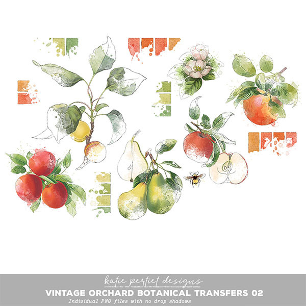 Vintage Orchard Botanical Transfers 02 Digital Art - Digital Scrapbooking Kits