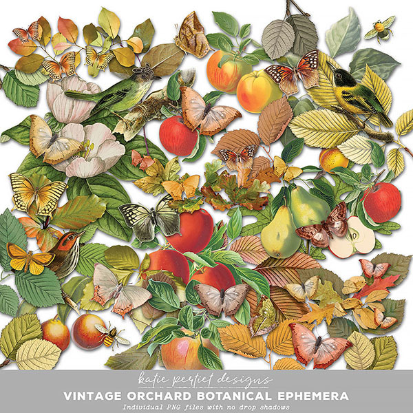 Vintage Orchard Botanical Ephemera Digital Art - Digital Scrapbooking Kits