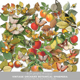 Vintage Orchard Botanical Ephemera