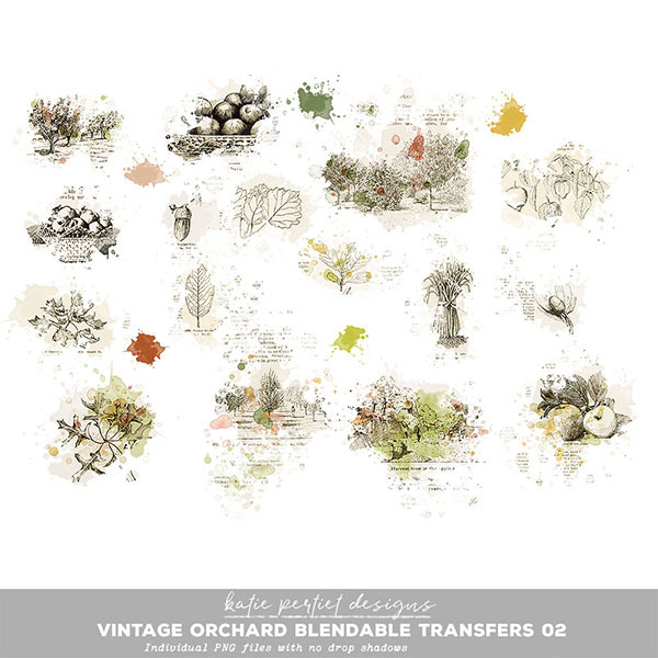 Vintage Orchard Blendable Transfers 02 Digital Art - Digital Scrapbooking Kits