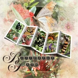 Artistic License Framed Fancies