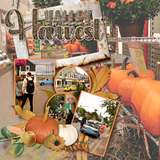 Title Trio - Autumn Woodland
