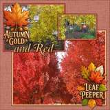 Autumn Vibes Word Art