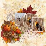 Autumn Vibes Word Art