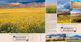 Travel Notes - Deserts & Dunes