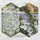 Laser Cut Shapes 1 Easy Masks & Overlays