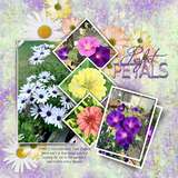 Artistic License Paper Trio 02