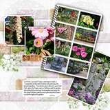 Artistic License Fresh Foundations - Photo ClusterMania 03