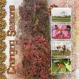Art Collective 06 - Fancy Autumn Photo Group Clusters