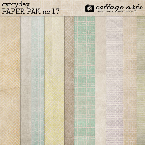 Everyday 17 Paper Pak Digital Art - Digital Scrapbooking Kits