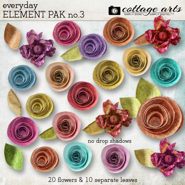 Everyday Element Pak 3 - Flowers Digital Art - Digital Scrapbooking Kits