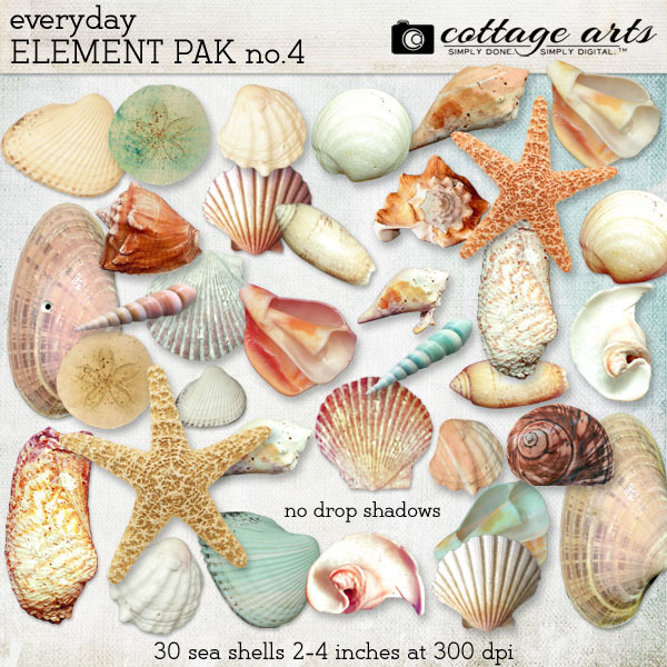 Everyday Element Pak 4 - Sea Shells Digital Art - Digital Scrapbooking Kits