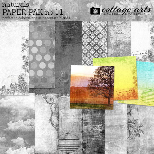 Naturals 11 Paper Pak Digital Art - Digital Scrapbooking Kits