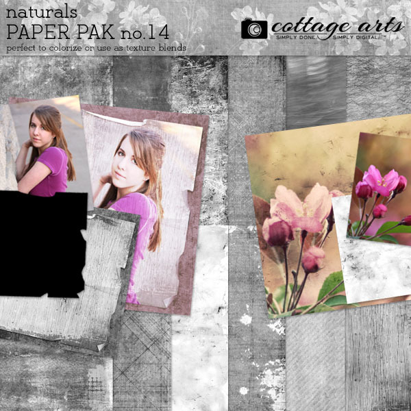 Naturals 14 Paper Pak Digital Art - Digital Scrapbooking Kits