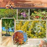 12 Volumes - Vol 10. Quiet Moments