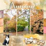12 Volumes - Vol 10. Quiet Moments
