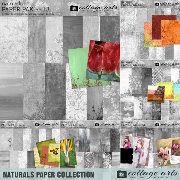 Naturals Paper Collection Digital Art - Digital Scrapbooking Kits
