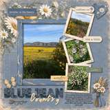 Denim And Daisies Bundle 1