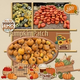 Fall Days Patches