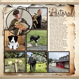 Gathered Goods Bundle 2