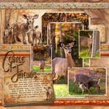 Autumn Stacks - Journal Cards