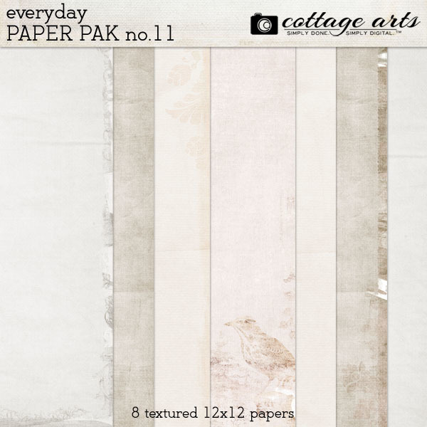 Everyday 11 Paper Pak Digital Art - Digital Scrapbooking Kits