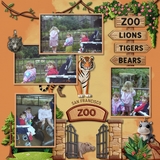 Zoo Plastic Keychains